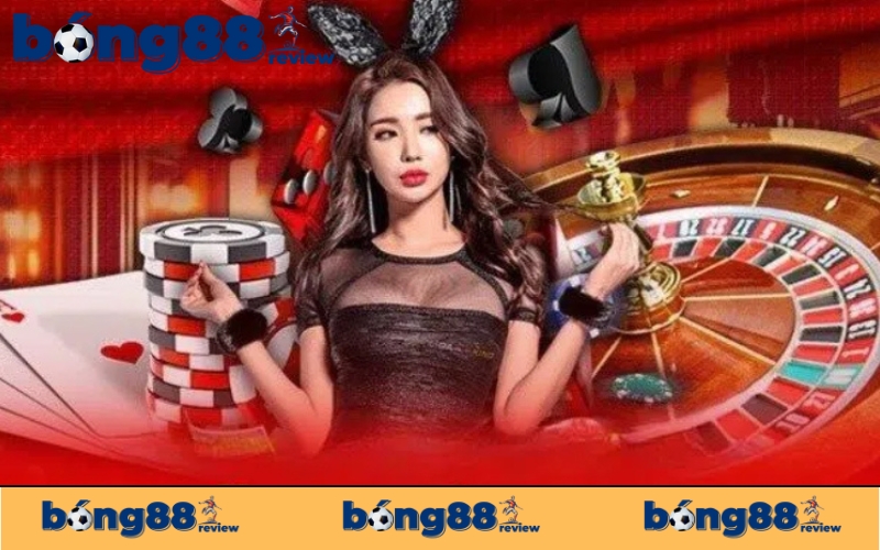 Hệ thống bảo trì khi nào?