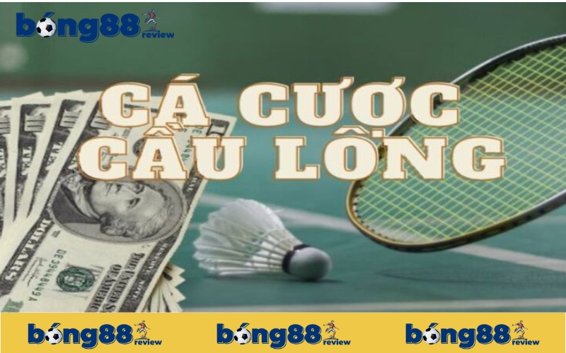 Cá cược cầu lông nghĩa là gì?