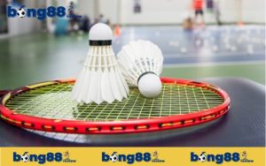 Các loại kèo cược cầu lông phổ biến tại Bong88