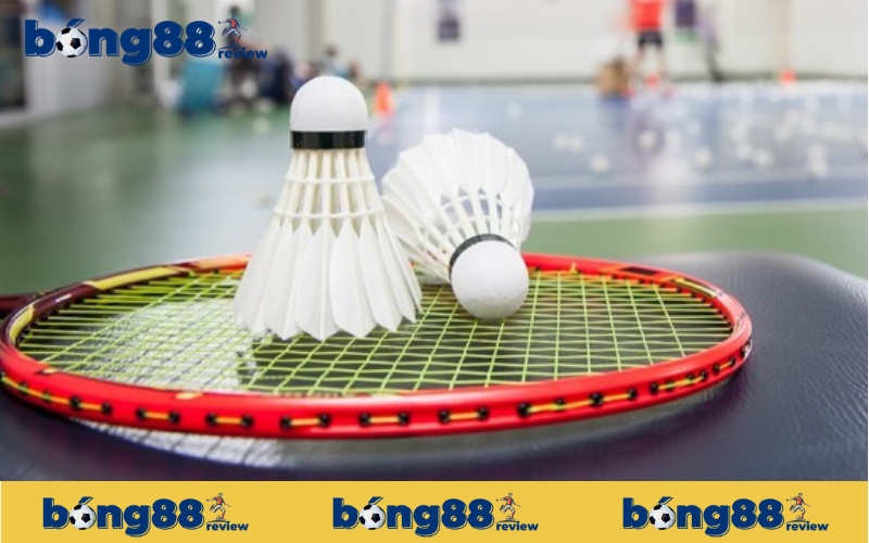 Các loại kèo cược cầu lông phổ biến tại Bong88