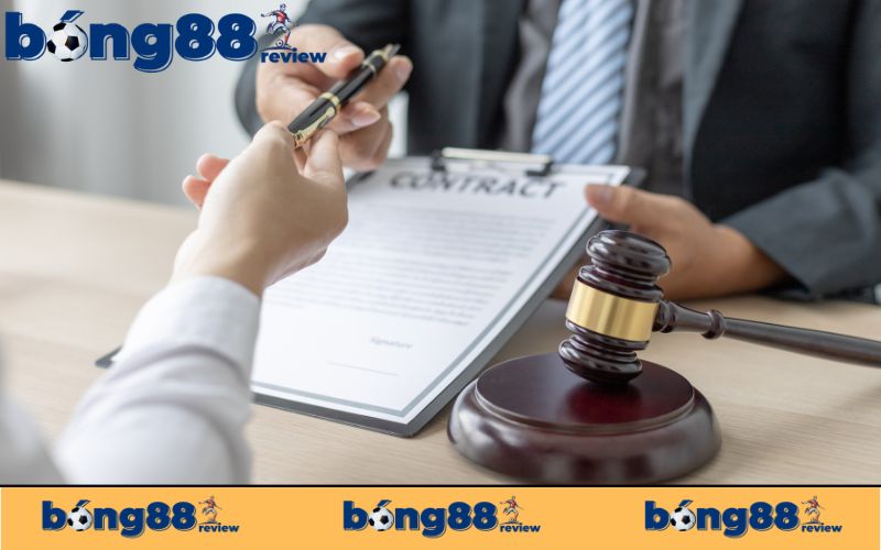 Điều khoản sử dụng tại website là gì?