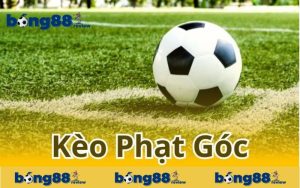 Khám phá các loại kèo phạt góc thông dụng