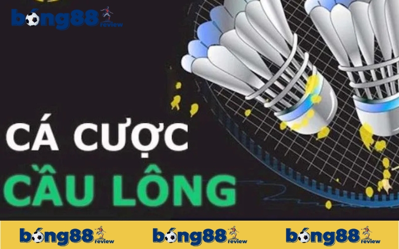Mẹo chơi cá cược cầu lông dễ dàng thắng