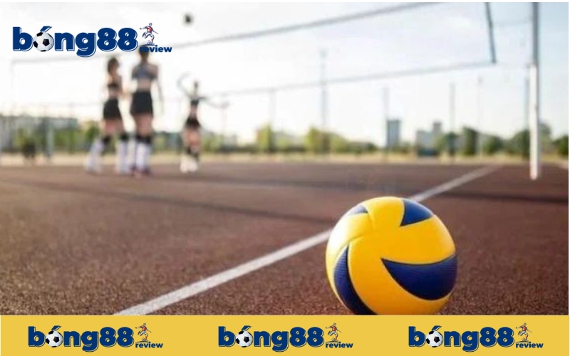 Những điều thú vị về cá cược bóng chuyền