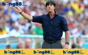 Thành công nổi bật World Cup 2014