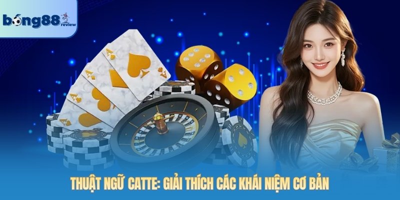 Thuật ngữ Catte: Giải thích các khái niệm cơ bản