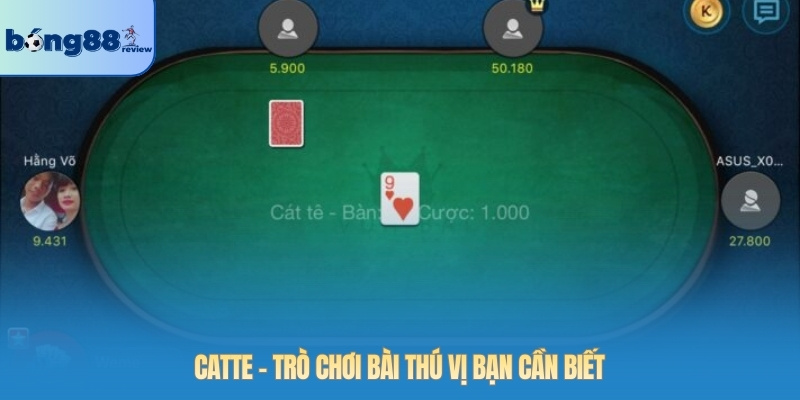 Catte – Trò chơi bài thú vị bạn cần biết