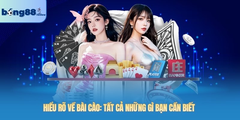 Hiểu rõ về bài Cào: Tất cả những gì bạn cần biết
